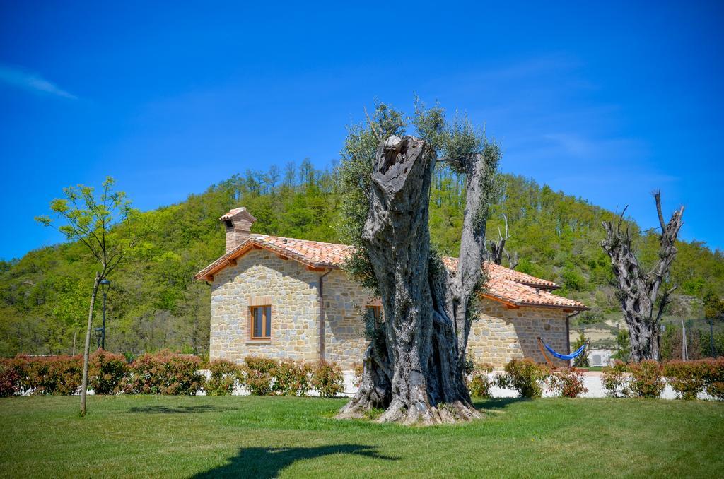 Tenuta Borgo Santa Cecilia Gubbio Exterior foto
